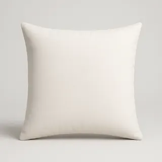 Cushion